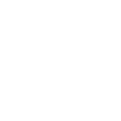 LOCAL_LOGO PNG white